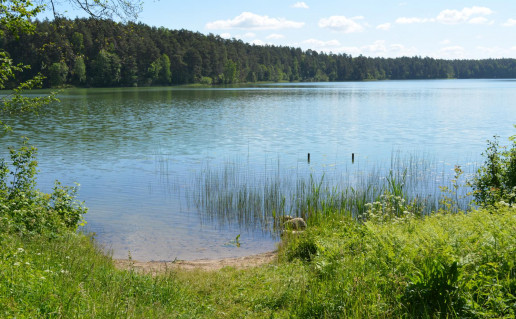 45_Jonėnų I stovyklavietė (2).jpg